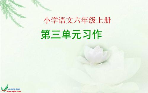 那个小东西触动了我_600字