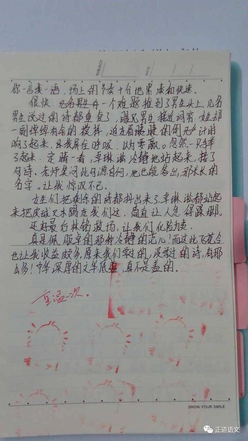 我们班级的男孩_650字