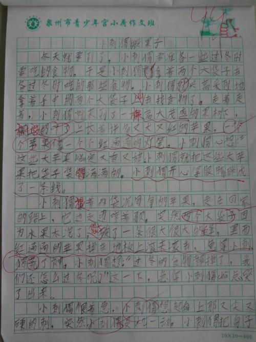 小白兔__200字