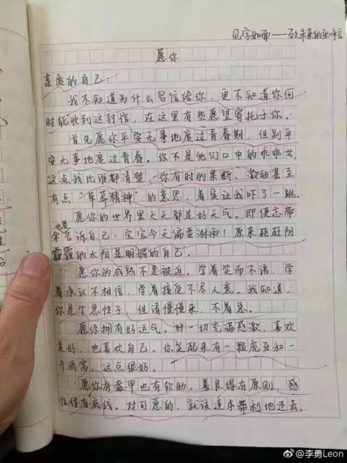 关于冲动的成分：生命不是脉冲的_700字