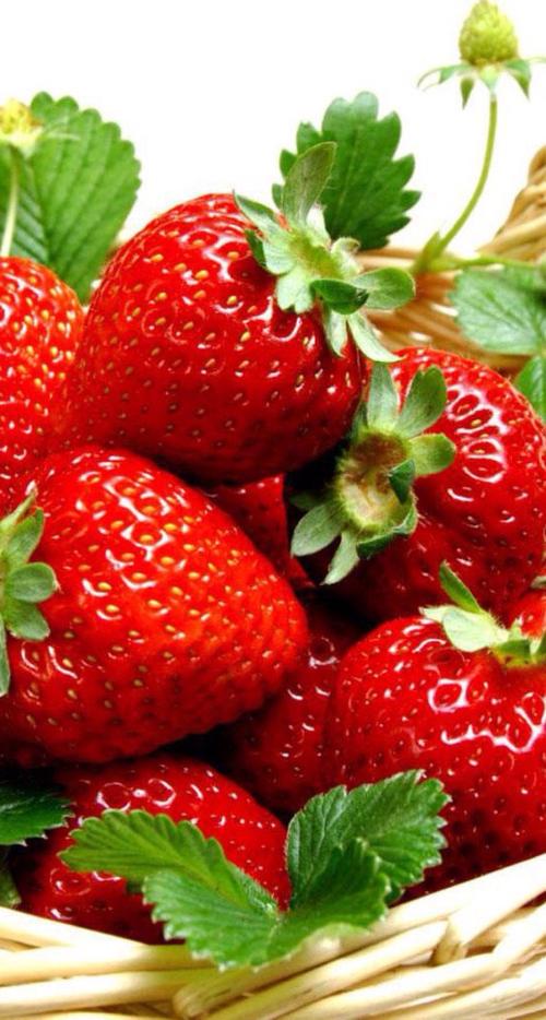 组成与水果：我喜欢水果 - 草莓_1500字