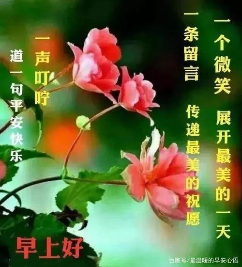 祝福_1000字