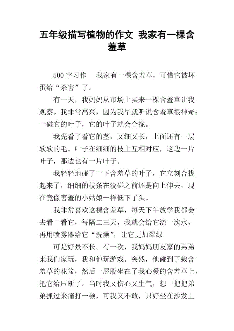 在车上_400字