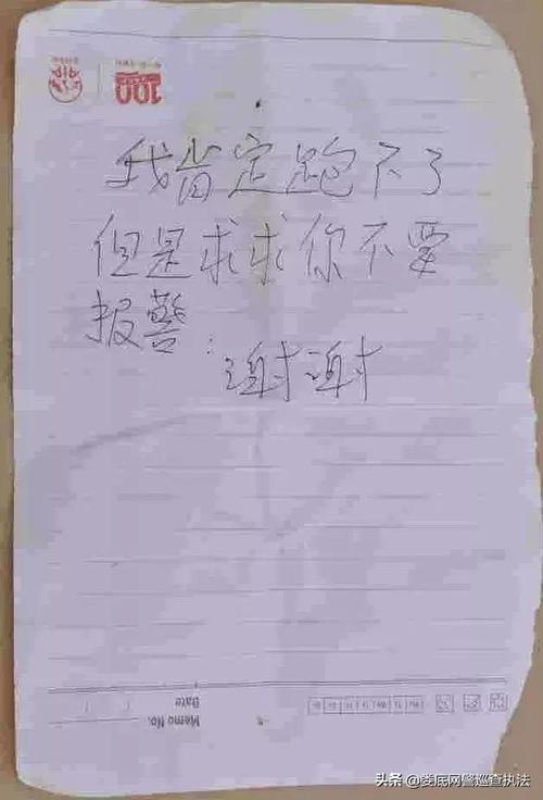 如果我是一个小偷_750字