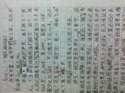 关于夏季成分：夏季英语日记9_800字