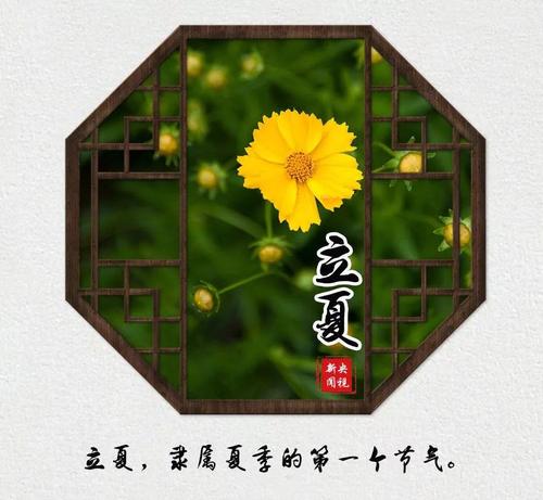 Lixia上的组成：生活的萌芽_650字