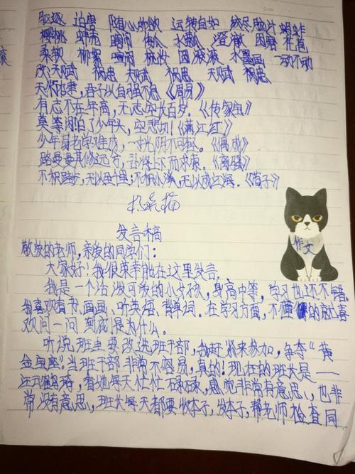 选举团队负责人说_650字