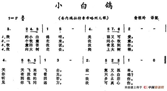 我爱我的小白鸽子_1200字