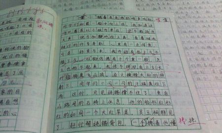 五年级：刘培善