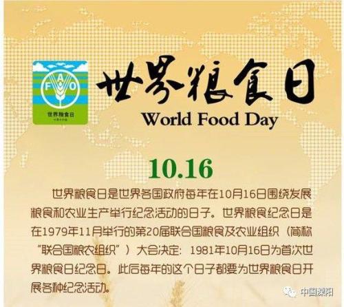世界粮食日保存食品提案（2）_900字