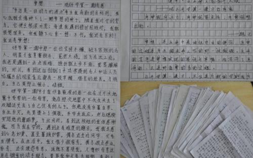 在第一类学校之后_700字