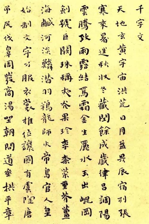 美美_1000字