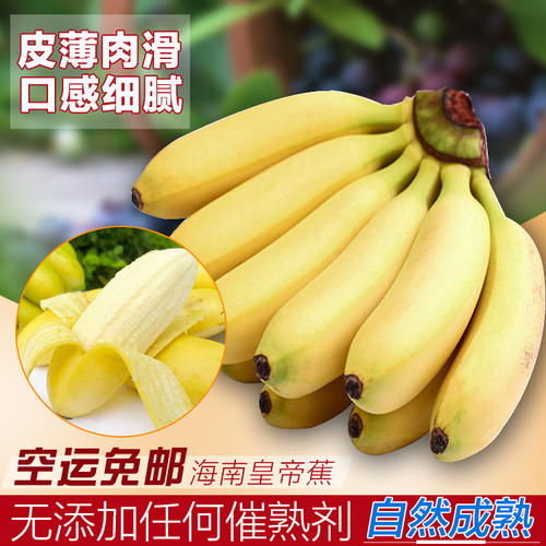 我喜欢水果 - 香蕉_300字