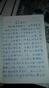 [读]骆驼Xiangzi _700字