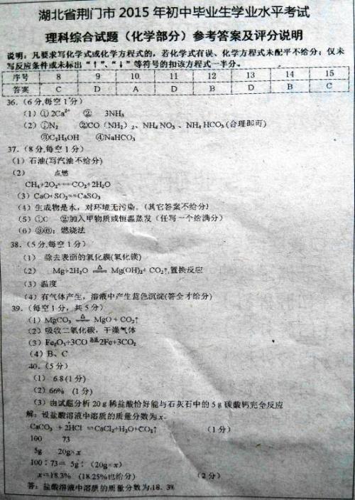 2019年，湖北省荆门测试：她是我生命中的一盏灯_1000字