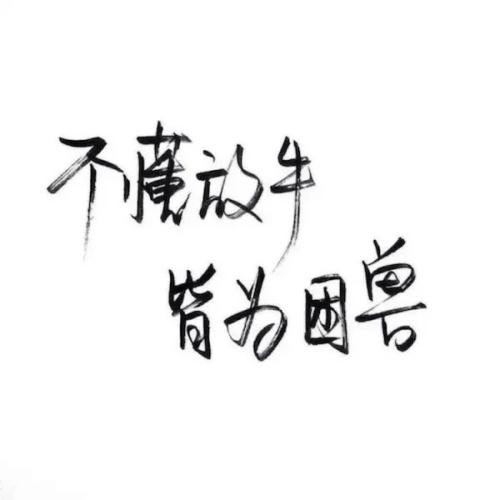 一分钟69心跳_1200字