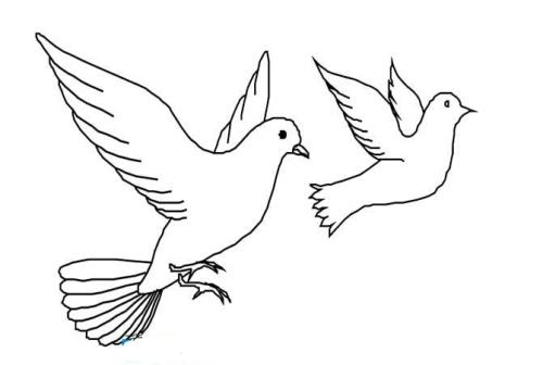 关于Peacecomposition：和平鸽子有鲜花_1500字