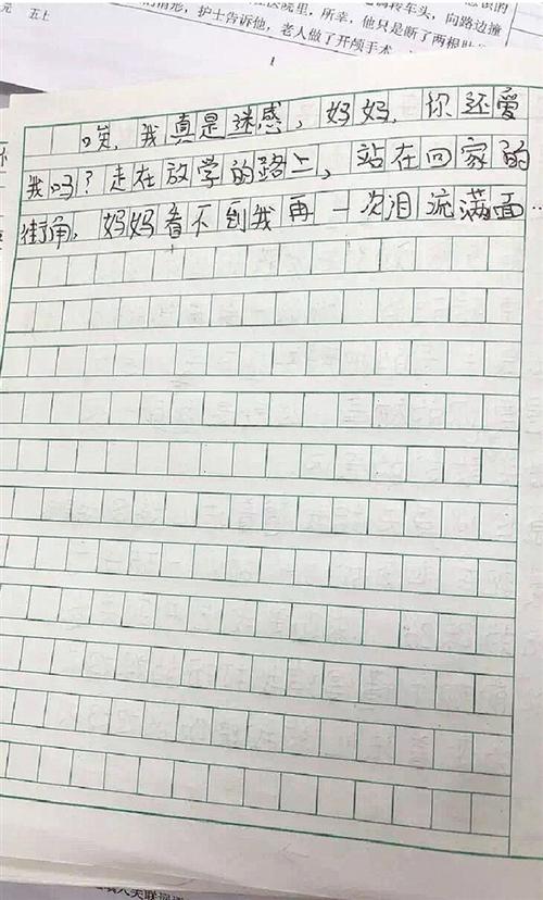 第一个写作：我的弟弟_1500字