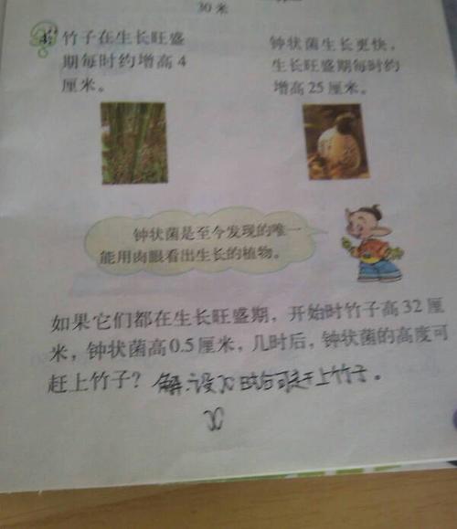 诚信是你的常见财富_1200字