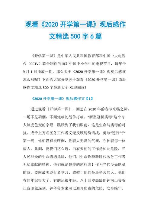 2020年后，第一类学校（17）_900字