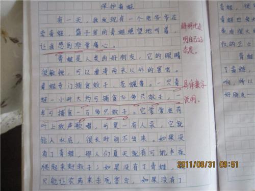 这是我的足迹组成600字