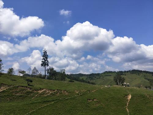 美丽的圭山草原