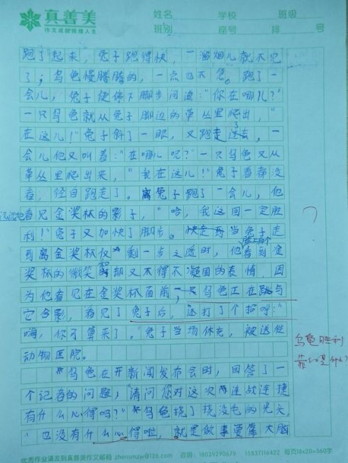 乌龟和兔子种族，新编辑_300字