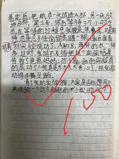 我做了一个小实验300号三年级书