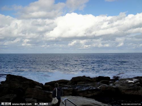 大海，河流和小溪_400字