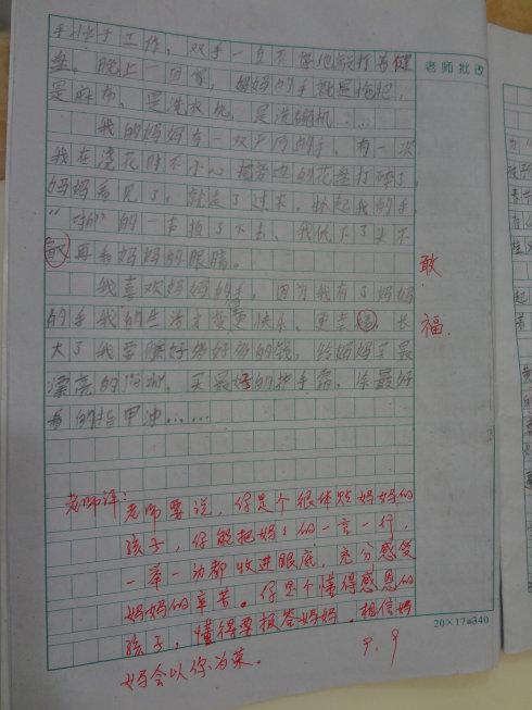 描述母亲外表的美好技能_2000字