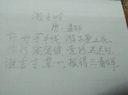 妈妈好说：母爱是纯粹的_1000字