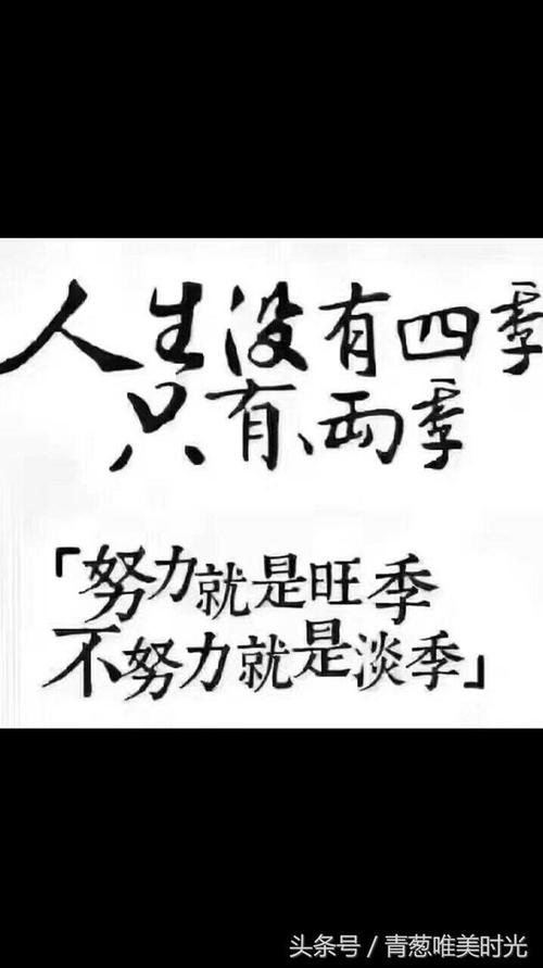 四季生活_1000字