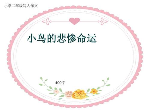 悲剧照片_400字