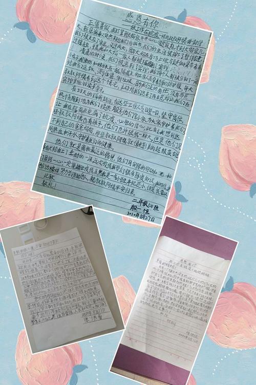 在北川地震发生后，学生日记：给绵阳叔叔的一封信