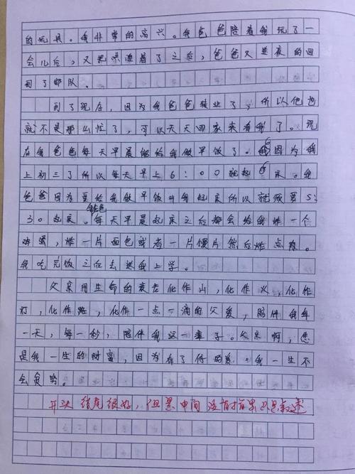 关于家庭成分：家庭试用会议_600字