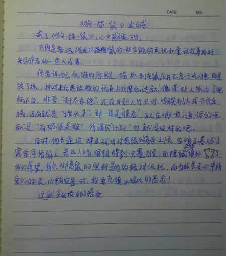 我的家人的猫_450字