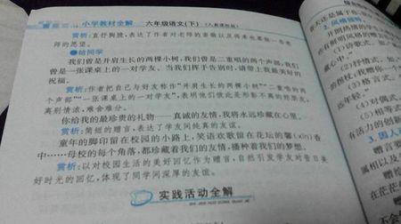 做其他母亲_100字