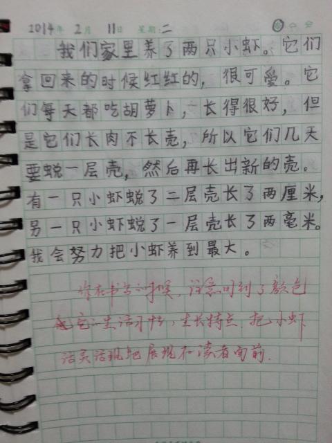 发现_150字