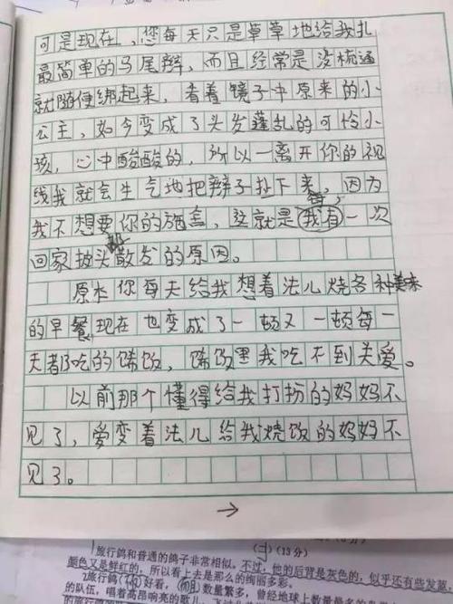 一年的叙事成分：我用母亲改变了我的身份_350字