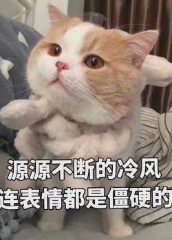 小猫_250字