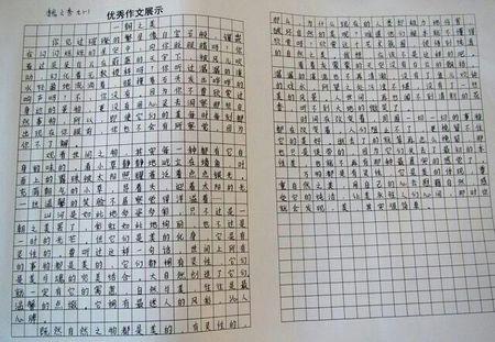 风景上的组成：另见枫林_700字