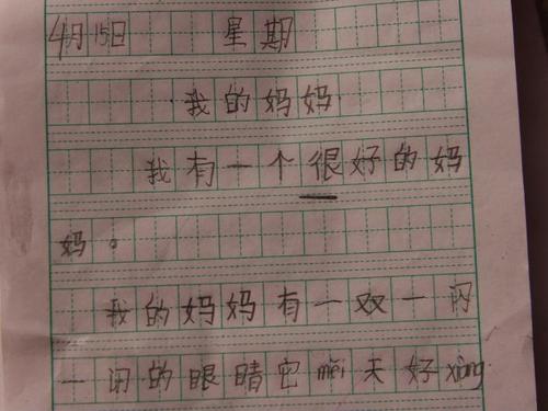 我是一本书粉丝_800字