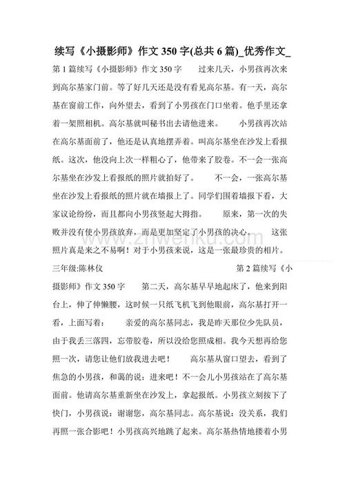 小摄影师_250字