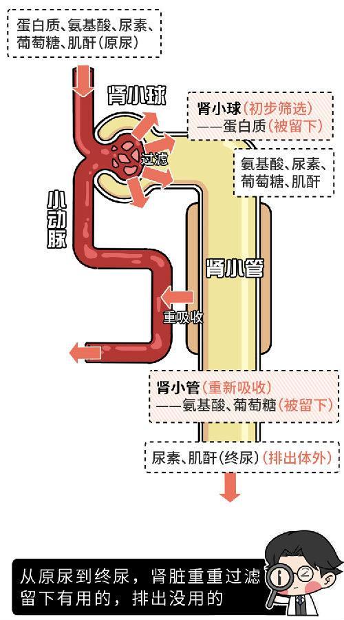 逆流疼痛_900字