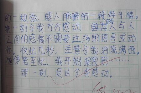 初中考试成分：遗憾_1000字