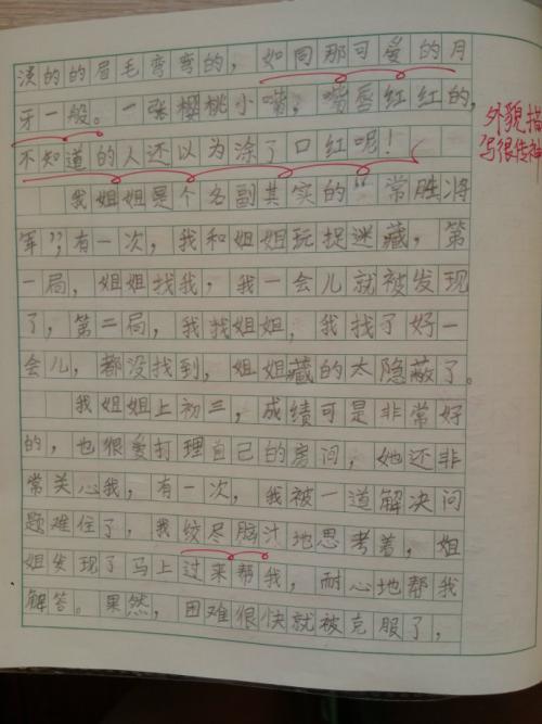 测试纸_800字