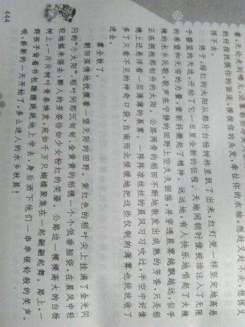 真正的冠军_400字