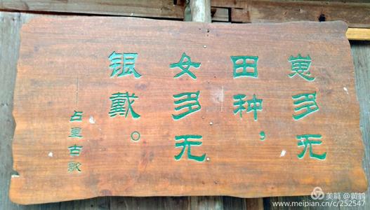 关注-700字