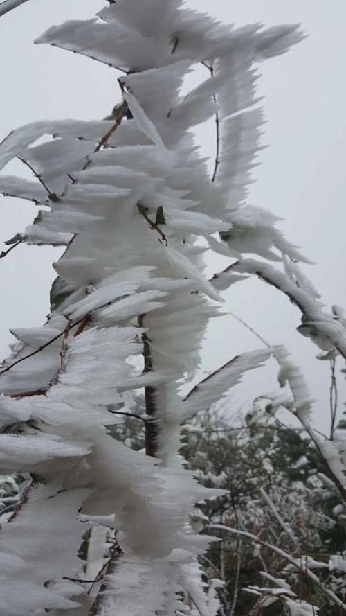 白风很冷，雪很大。