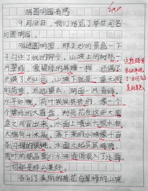 2011年全点组成必须选择新鲜材料_600字